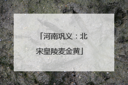 河南巩义：北宋皇陵麦金黄