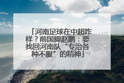 河南足球在中超咋样？前国脚赵鹏：要找回河南队“专治各种不服”的精神