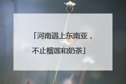 河南遇上东南亚，不止榴莲和奶茶