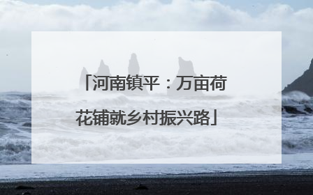 河南镇平：万亩荷花铺就乡村振兴路
