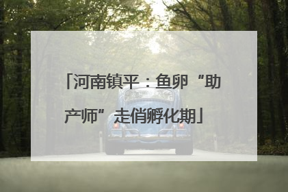河南镇平：鱼卵“助产师”走俏孵化期