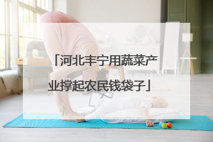 河北丰宁用蔬菜产业撑起农民钱袋子