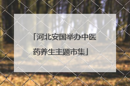 河北安国举办中医药养生主题市集