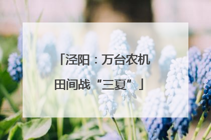 泾阳：万台农机田间战“三夏”