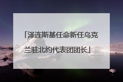 泽连斯基任命新任乌克兰驻北约代表团团长
