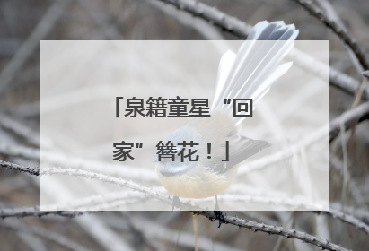 泉籍童星“回家”簪花！