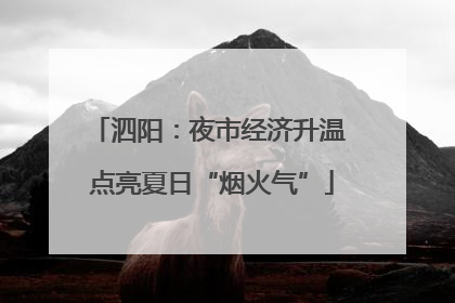 泗阳：夜市经济升温 点亮夏日“烟火气”