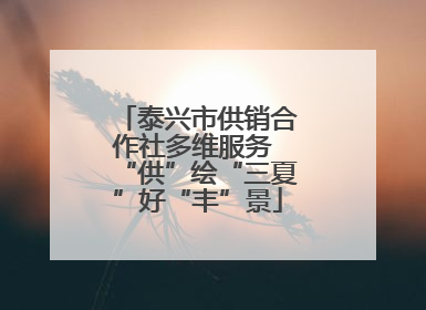 泰兴市供销合作社多维服务 “供”绘“三夏”好“丰”景