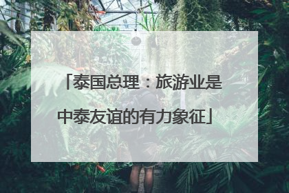 泰国总理：旅游业是中泰友谊的有力象征