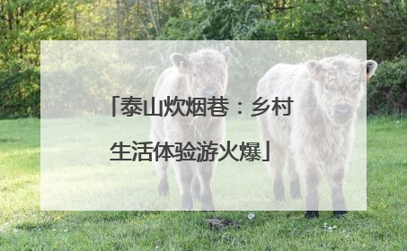泰山炊烟巷：乡村生活体验游火爆