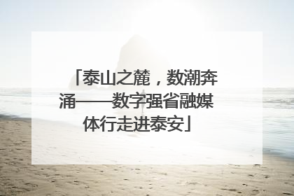 泰山之麓，数潮奔涌——数字强省融媒体行走进泰安
