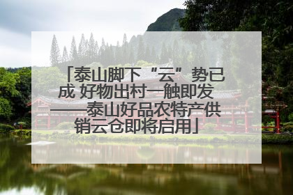 泰山脚下“云”势已成 好物出村一触即发——泰山好品农特产供销云仓即将启用