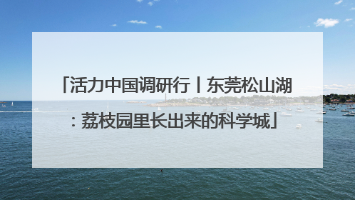 活力中国调研行丨东莞松山湖：荔枝园里长出来的科学城