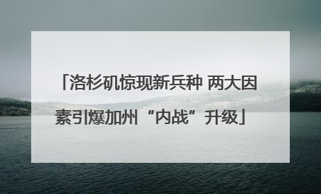 洛杉矶惊现新兵种 两大因素引爆加州“内战”升级