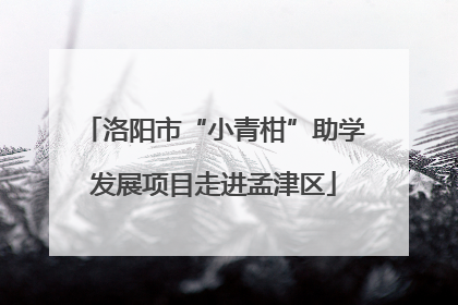 洛阳市“小青柑”助学发展项目走进孟津区