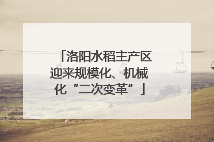 洛阳水稻主产区迎来规模化、机械化“二次变革”
