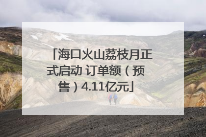 海口火山荔枝月正式启动 订单额（预售）4.11亿元