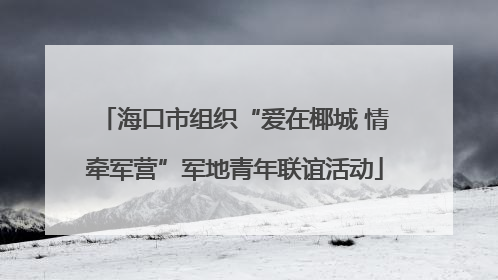 海口市组织“爱在椰城 情牵军营”军地青年联谊活动