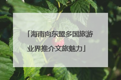 海南向东盟多国旅游业界推介文旅魅力