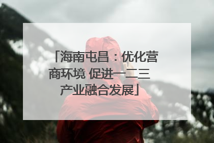 海南屯昌：优化营商环境 促进一二三产业融合发展