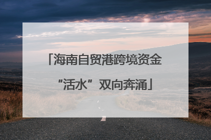 海南自贸港跨境资金“活水”双向奔涌