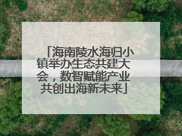 海南陵水海归小镇举办生态共建大会，数智赋能产业共创出海新未来