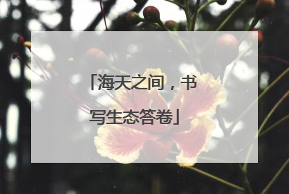 海天之间，书写生态答卷