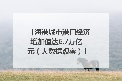 海港城市港口经济增加值达6.7万亿元（大数据观察）