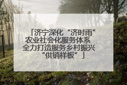 济宁深化“济时雨”农业社会化服务体系 全力打造服务乡村振兴“供销样板”
