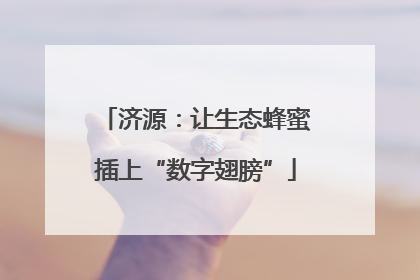 济源：让生态蜂蜜插上“数字翅膀”