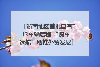 浙南地区首批自有TIR车辆启程 “购车远航”助推外贸发展