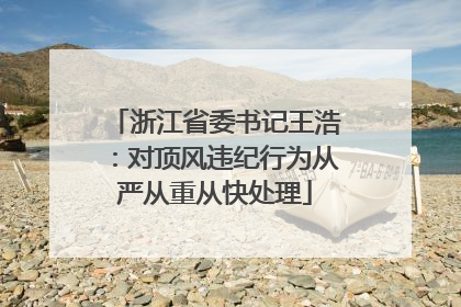 浙江省委书记王浩：对顶风违纪行为从严从重从快处理