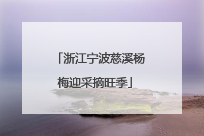 浙江宁波慈溪杨梅迎采摘旺季