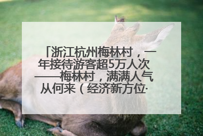 浙江杭州梅林村，一年接待游客超5万人次——梅林村，满满人气从何来（经济新方位·农村消费观察）