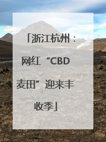 浙江杭州：网红“CBD麦田”迎来丰收季
