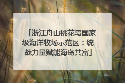 浙江舟山桃花岛国家级海洋牧场示范区：统战力量赋能海岛共富