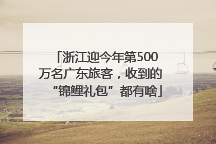 浙江迎今年第500万名广东旅客，收到的“锦鲤礼包”都有啥