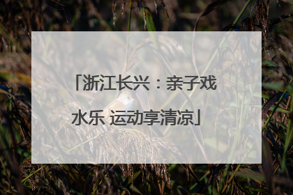 浙江长兴：亲子戏水乐 运动享清凉
