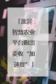 淮滨：智慧农业平台跑出麦收“加速度”