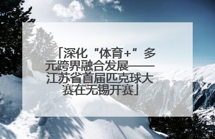 深化“体育+”多元跨界融合发展——江苏省首届匹克球大赛在无锡开赛