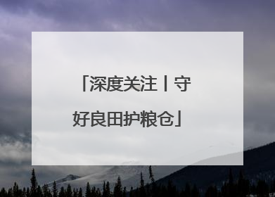 深度关注丨守好良田护粮仓