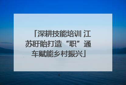 深耕技能培训 江苏盱眙打造“职”通车赋能乡村振兴