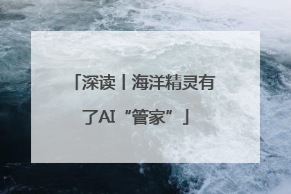 深读丨海洋精灵有了AI“管家”