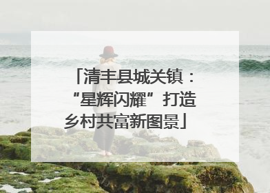 清丰县城关镇：“星辉闪耀”打造乡村共富新图景