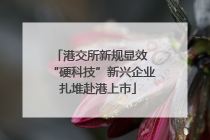 港交所新规显效 “硬科技”新兴企业扎堆赴港上市