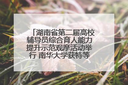 湖南省第二届高校辅导员综合育人能力提升示范观摩活动举行 南华大学获特等奖和一等奖