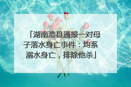湖南澧县通报一对母子落水身亡事件：均系溺水身亡，排除他杀