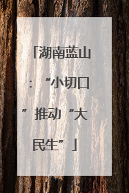 湖南蓝山：“小切口”推动“大民生”