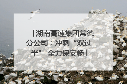 湖南高速集团常德分公司：冲刺“双过半” 全力保安畅
