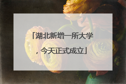 湖北新增一所大学，今天正式成立